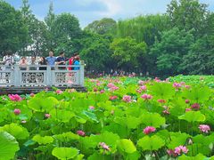 -成都市文化公园
