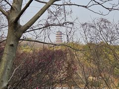 -蜀冈西峰生态公园