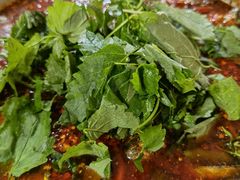 黄辣丁-彭大姐老店黄辣丁(新津店)