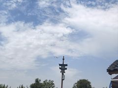 -空港花田景区