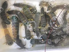 -拉威海鲜市场