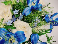 -花生FM_FLOWERS