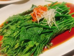 丝瓜尖-三江里·宜宾川菜(亚运村店)