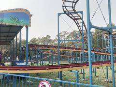 -上海滨江森林公园