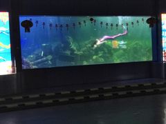 -重庆欢乐海底世界