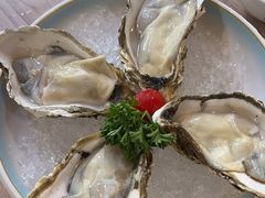 -探窝·竹笙椰子鸡(杨箕店)