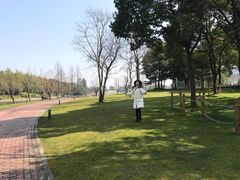 -上海佘山世茂艾美酒店