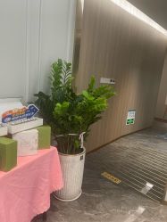 -伊丽汇