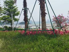 -海沧湾公园
