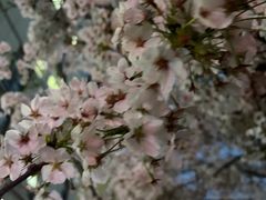 -红星美凯龙北京至尊MALL(东四环中路店)