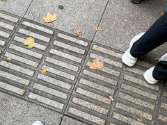 -镇南锅盖面馆(解放路店)