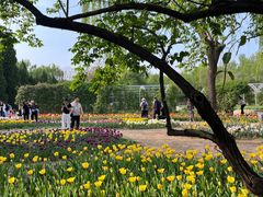 -石家庄市植物园