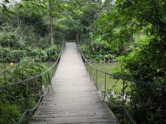 -桤木河湿地公园