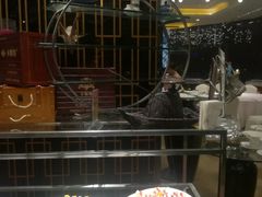 -绍兴中金豪庭大酒店·豪庭阁中餐厅