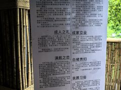 -西双版纳原始森林公园