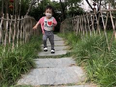 -丰台科技园生态主题公园