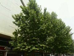 -宽窄巷子成都小吃(建文店)