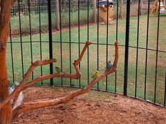 -前小桔亲子创意农场·草莓采摘·露营烧烤