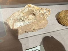 -浙江自然博物院(杭州馆)