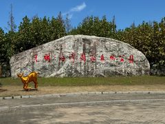 -上海海湾国家森林公园