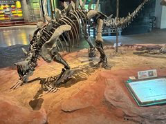 -自贡恐龙博物馆