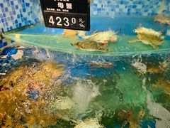 -浩运·海鲜青岛菜·海胆水饺(石老人店)