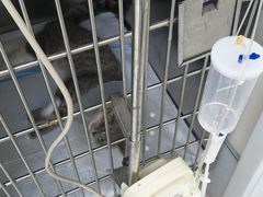 -达爱动物医院·犬猫分区·CT·复杂眼科(远洋山水分院)