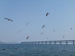 -黑石礁公园