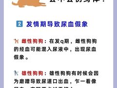 -守诺宠物医院·眼科· 神经外科·爬宠专科(虹口店)