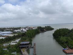 -东寨港红树林旅游区