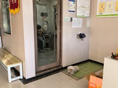 -瑞鹏宠物医院(大运分院)