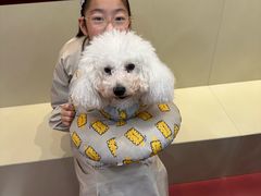 -和它·交个朋友·狗咖猫咖(爱琴海店)