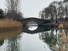 -大兴滨河森林公园