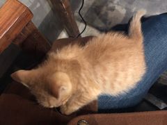 -时光转角咖啡馆(西康路店)