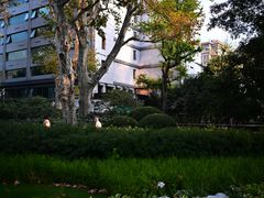 -静安公园(静安寺街道)