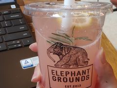 -大象园 ELEPHANT GROUNDS(广州太古汇店)