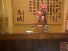 -鸟鹏烧鸟居酒屋(熙龙湾店)