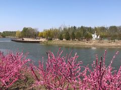 -东郊湿地公园
