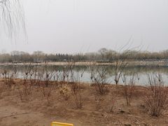 -大兴滨河森林公园