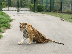 -鄂尔多斯野生动物园