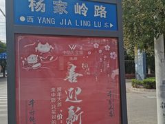 -延安杨家岭革命旧址