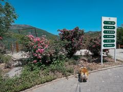 -潭柘厚院&山顶烤肉(潭柘寺店)