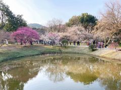 -杭州植物园