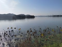 -东湖落雁景区