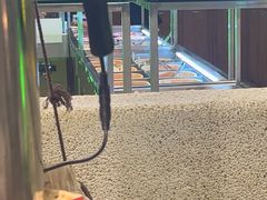 -曾百万小炉小串自助烧烤(高新店)