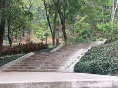 -红花山公园