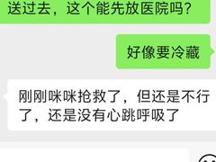 -瑞派雷欧宠物医院·24h夜诊·心脏骨科牙科·全科重症转诊中心(无影山店)