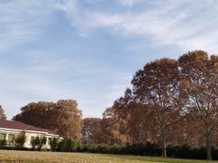 -河南省黄河迎宾馆