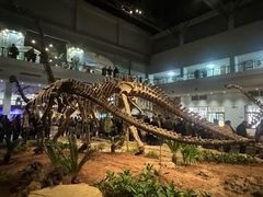 -自贡恐龙博物馆