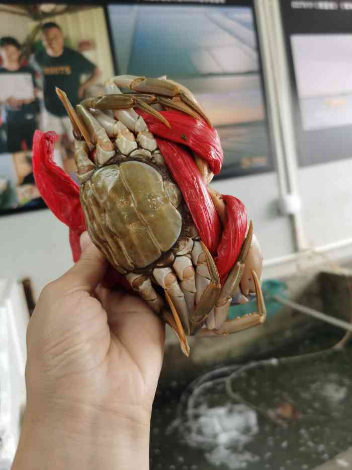 郑炳才源头蟹场61有机黄油蟹福永店
